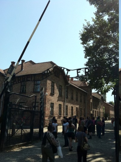 006_auschwitz_birkenau.jpg