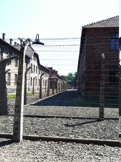 033_auschwitz_birkenau.jpg