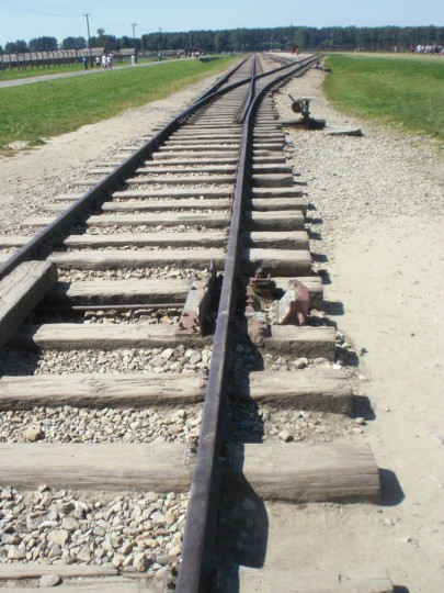 047_auschwitz_birkenau.jpg