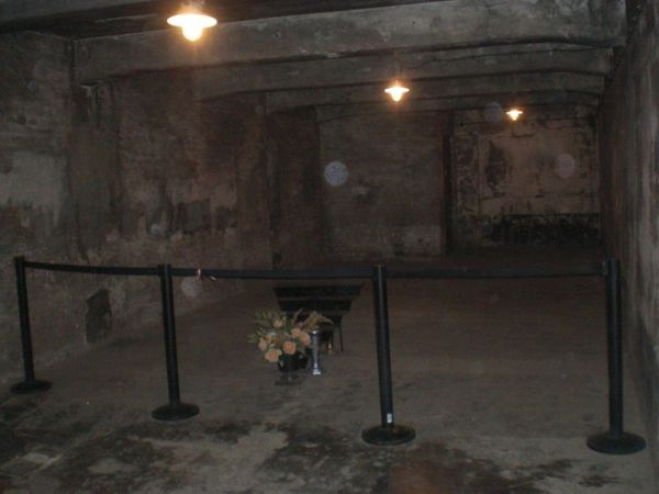 036_auschwitz_birkenau.jpg