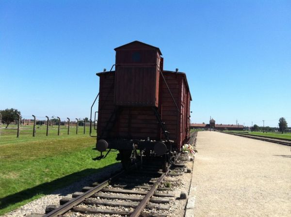 064_auschwitz_birkenau.jpg